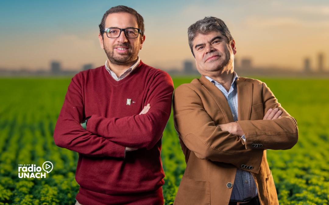 Panorama Agrícola
